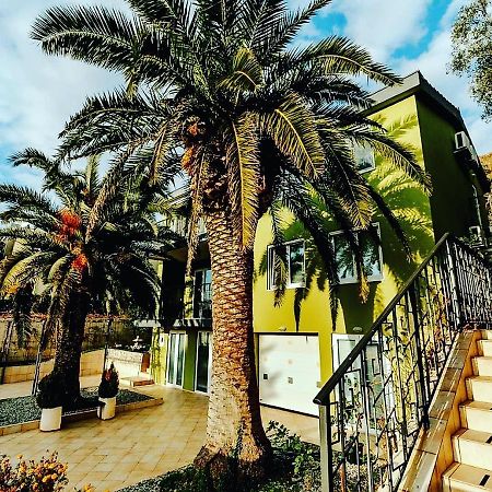 Palm Point Apartment Petrovac 외부 사진