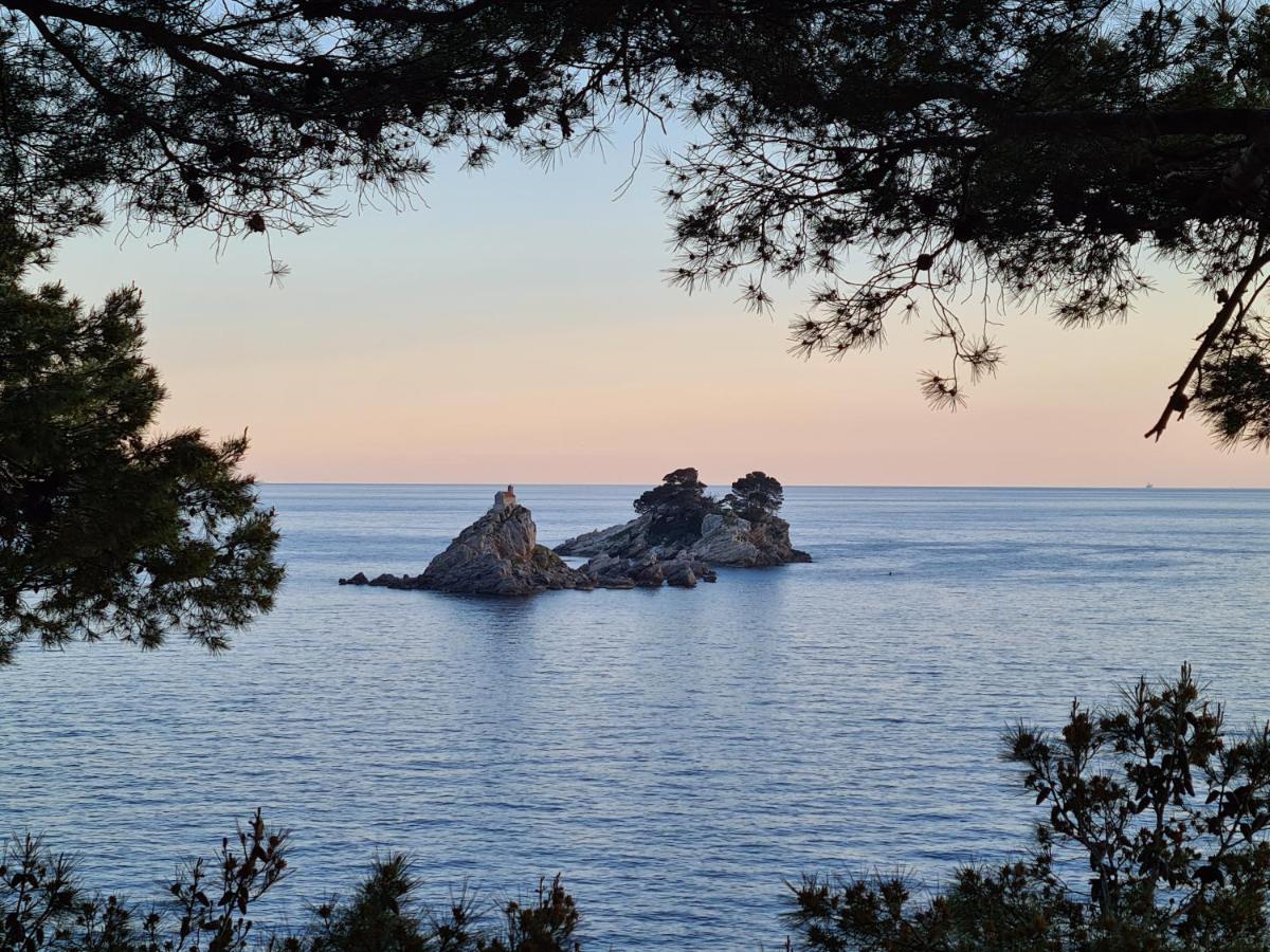 Palm Point Apartment Petrovac 외부 사진