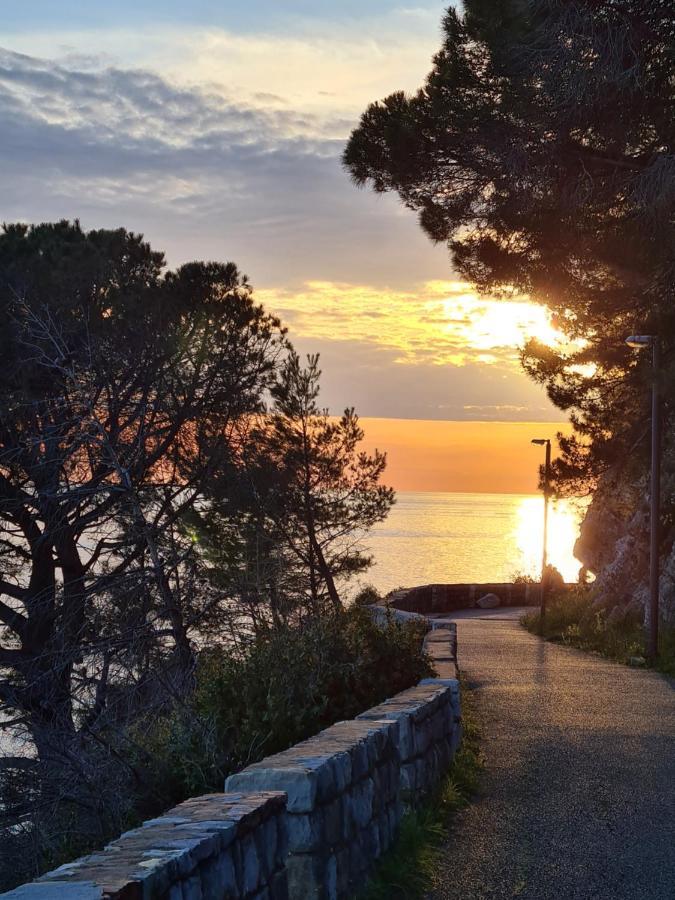 Palm Point Apartment Petrovac 외부 사진