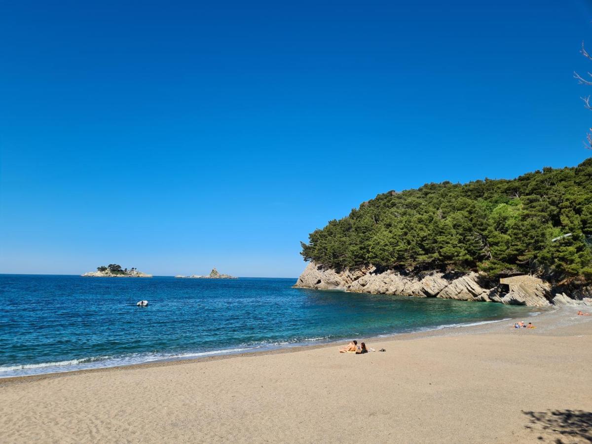 Palm Point Apartment Petrovac 외부 사진