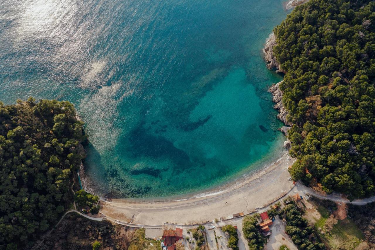 Palm Point Apartment Petrovac 외부 사진